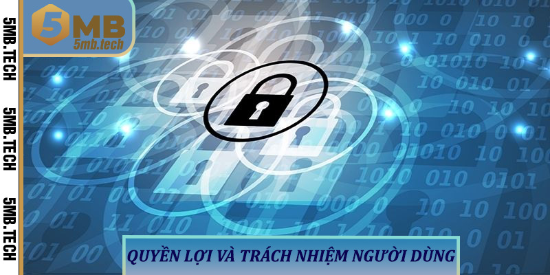 Quyền Lợi và Trách Nhiệm Người Dùng