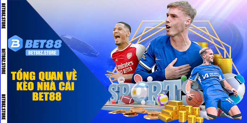 Tổng Quan Về Kèo Nhà Cái BET88