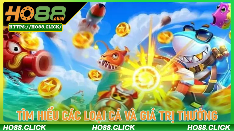 Tìm hiểu các loại cá và giá trị thưởng