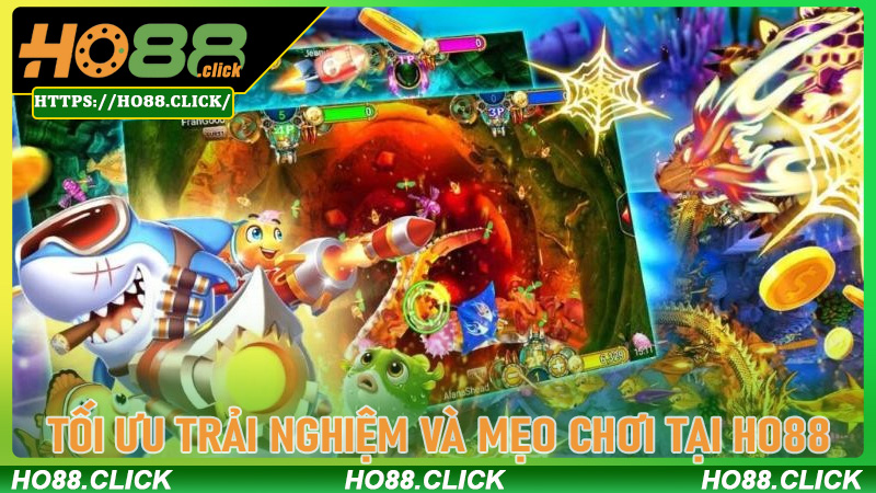 Tối ưu trải nghiệm và mẹo chơi tại Ho88